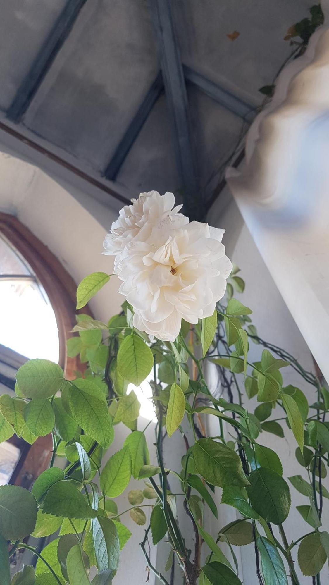 La Torre Di Pieve Hotell Pieve Santo Stefano Eksteriør bilde
